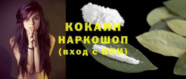 прущий лед Ладушкин