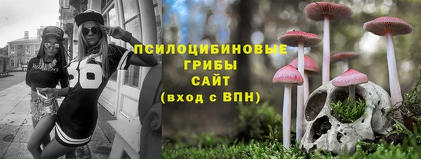 тгк Лагань