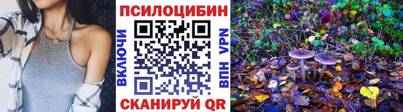 купить закладку  Лакинск  Псилоцибиновые грибы прущие грибы 